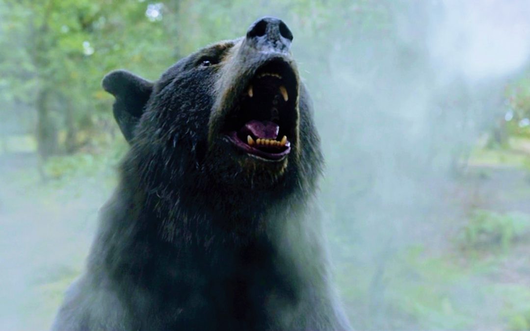 COCAINE BEAR
