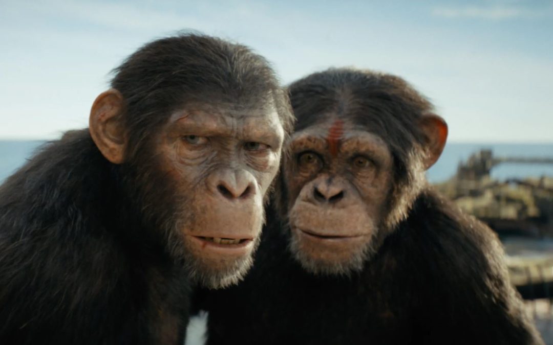 kingdom of the planet of the apes