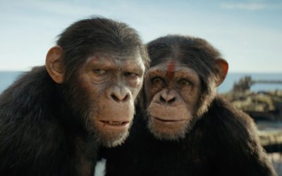 kingdom of the planet of the apes