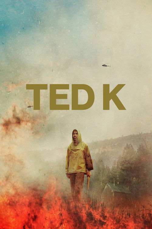 tmdb-poster-13069