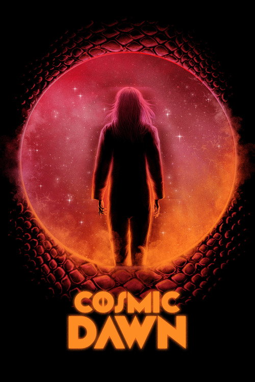tmdb-poster-13101