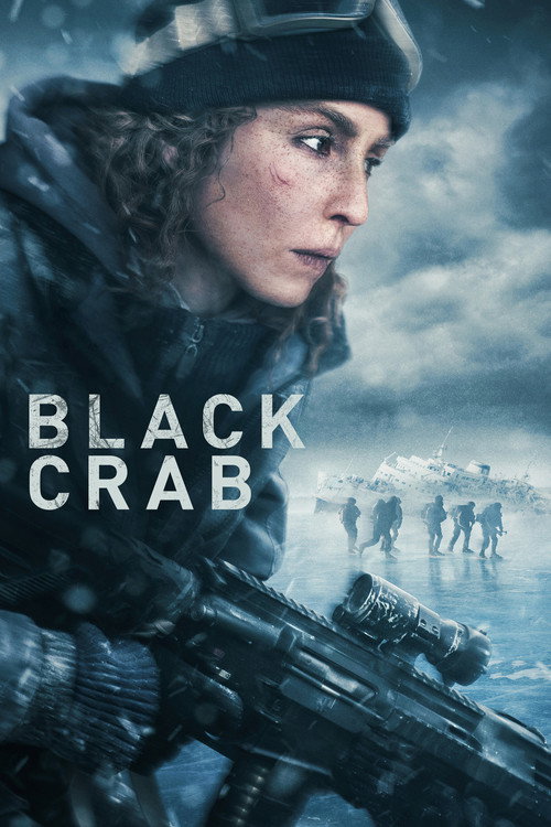 tmdb-poster-13302