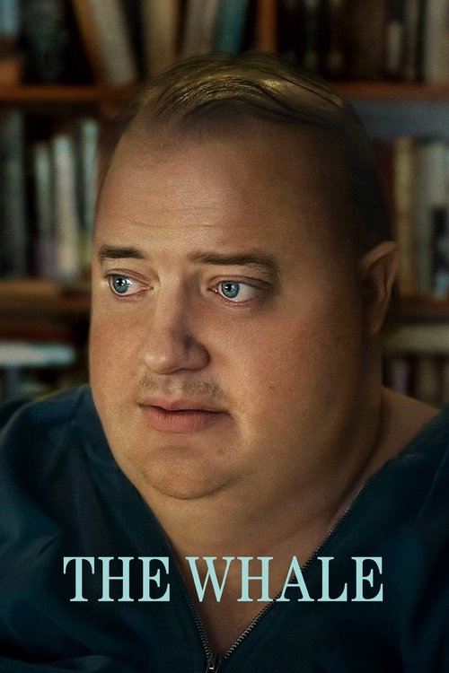 tmdb-poster-17416