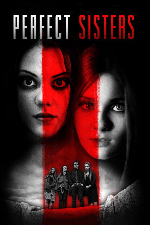 tmdb-poster-2869