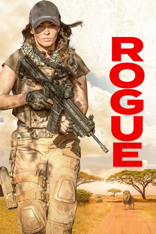 tmdb-poster-3685