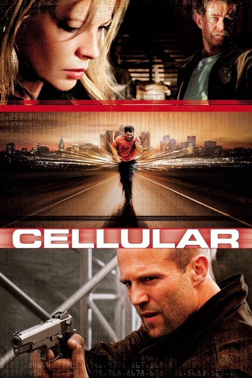 tmdb-poster-4824