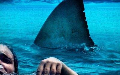 The Reef (2010)