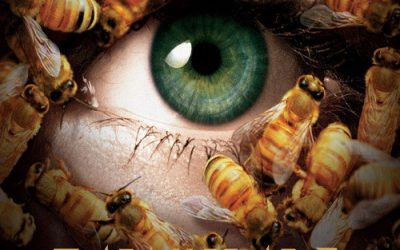 Candyman 3 (1999)