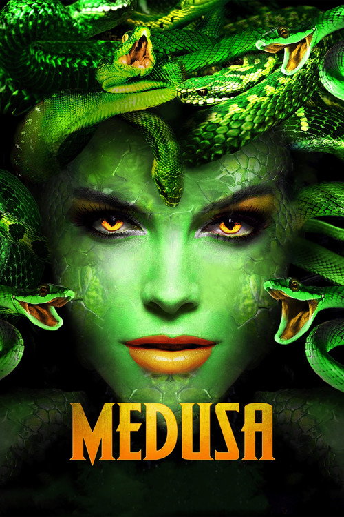 tmdb-poster-8963